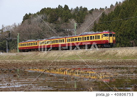 田植え準備の水田と越後線115系(懐かしの新潟色) 田植え準備の水田と越後線115系(懐かしの新潟色) 40806753