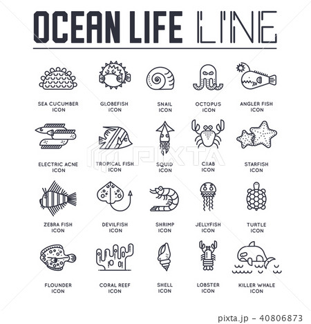 dedicated to undersea vector brochure lines set. dedicated to undersea vector brochure lines set. 40806873