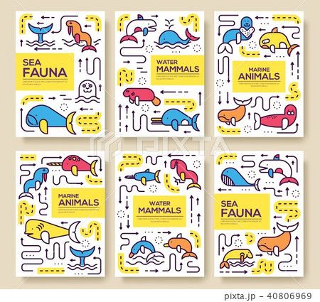 Nautical  line brochure cards set. Sea template 40806969