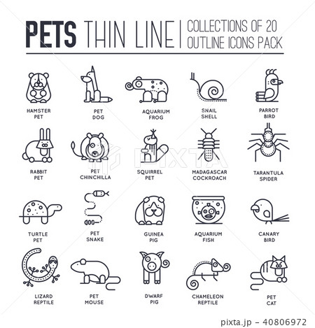 Animal flat thin line illustration icons set. 40806972