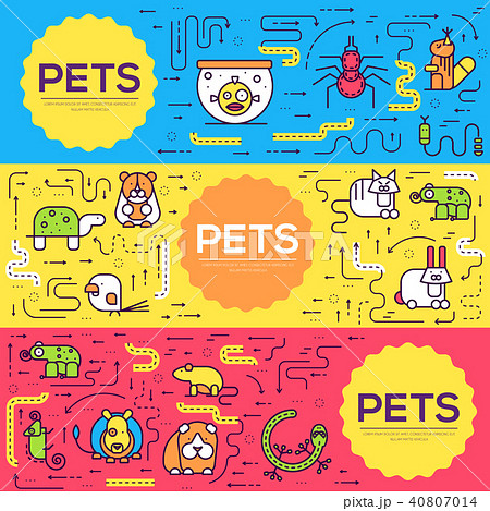 Animal vector brochure cards thin line set. Animal vector brochure cards thin line set. 40807014