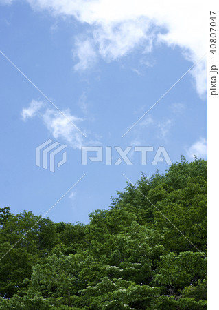青空と雲と樹々 40807047