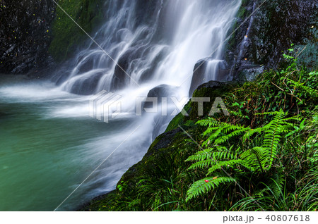 潜竜ヶ滝 40807618
