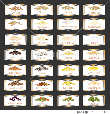 Vector set of cereal and grain emblems 40808616