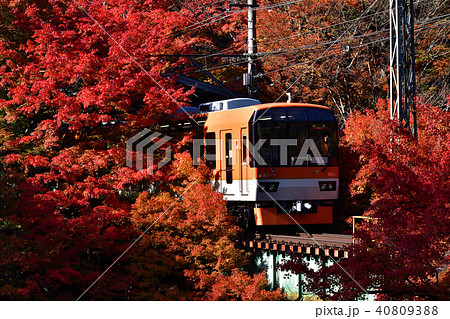 鉄道　列車　叡山電鉄　エイデン　京都　900系　きらら　貴船口　鞍馬　秋　鉄橋　紅葉　モミジ　もみじ 40809388
