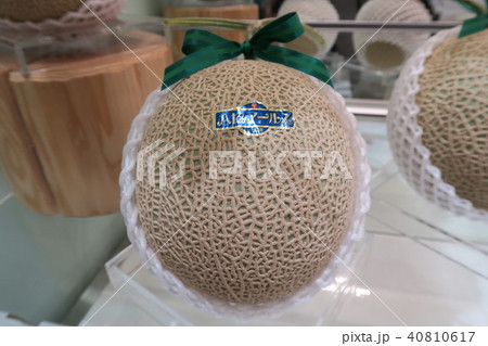 マスクメロン 40810617