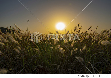 自然 風景 韓国 40810896