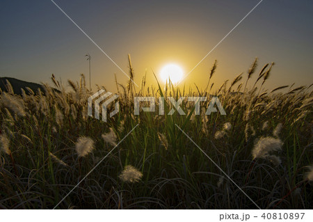 自然 風景 韓国 40810897