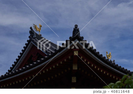 屋根 屋根 40811648