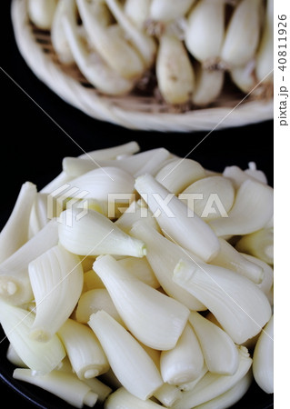 皮を剝いたラッキョウ 皮を剝いたラッキョウ 40811926