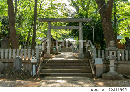 東京都目黒区の碑文谷八幡宮 東京都目黒区の碑文谷八幡宮 40811996