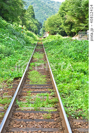 夏草と線路 夏草と線路 40812414