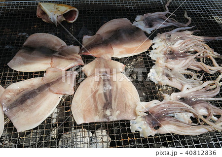 いか焼き 40812836