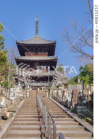 金戒光明寺 三重塔 金戒光明寺 三重塔 40813257