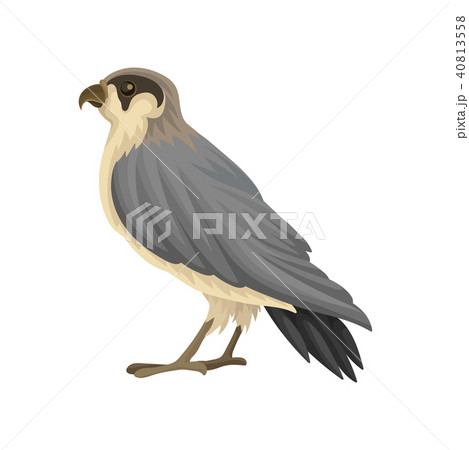 Detailed flat vector icon of Egyptian falcon....のイラスト素材