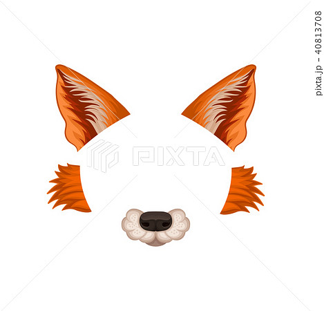 Ears Nose And Cheeks Of Red Fox Elements Of のイラスト素材