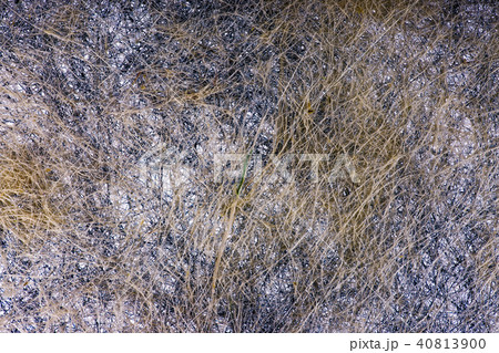 Abstract of a plurality of intertwined threads Abstract of a plurality of intertwined threads 40813900