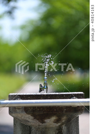 公園の飲料水栓 公園の飲料水栓 40814163