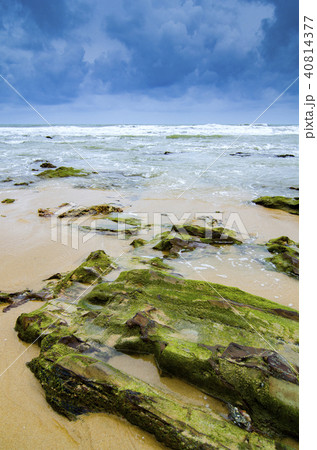 green mossy on rock hitting by soft waves 40814377
