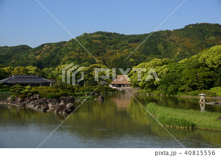南楽園の回遊式池泉日本庭園 南楽園の回遊式池泉日本庭園 40815556