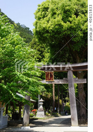 4月の高麗神社 40815833
