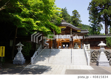 4月の高麗神社 40815834