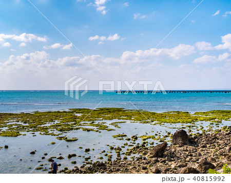 沖縄・瀬長島の青海苔とサンゴ礁の海岸風景 沖縄・瀬長島の青海苔とサンゴ礁の海岸風景 40815992