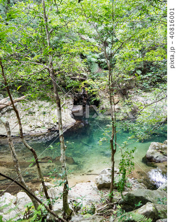 沖縄県 国頭村 比地大滝 沖縄県 国頭村 比地大滝 40816001