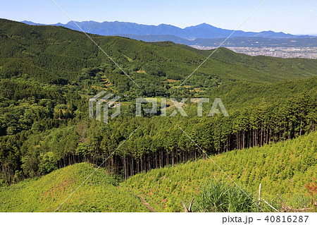 久野林道から丹沢山地を望む 神奈川県 久野林道から丹沢山地を望む 神奈川県 40816287