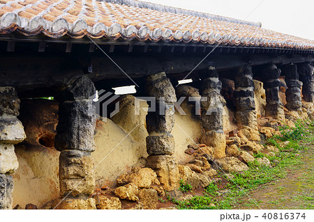 やむちんの里 やむちんの里 40816374