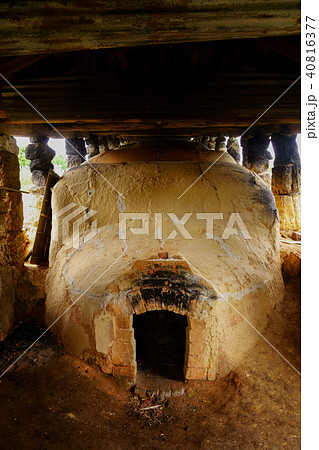 やむちんの里 やむちんの里 40816377