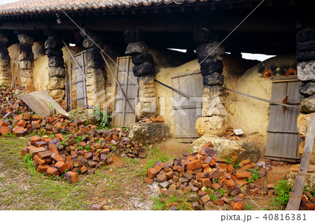 やむちんの里 やむちんの里 40816381