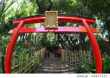 円山随身稲荷大明神 40817221