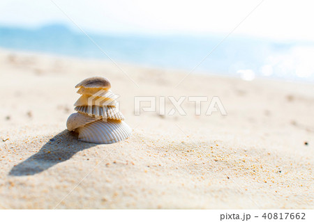Selective focused shells on the beach Selective focused shells on the beach 40817662
