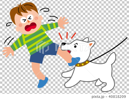 損害保険 飼い犬に噛まれる 損害保険 飼い犬に噛まれる 40818209