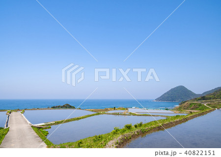 袖志の棚田 40822151