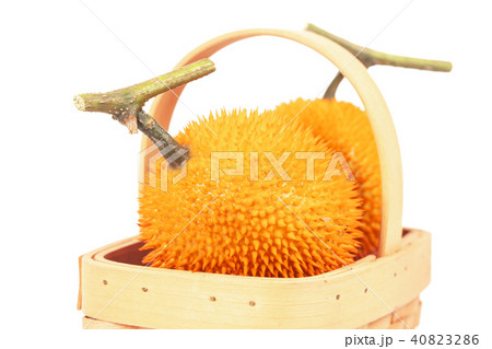 Fresh Baby jackfruit on white background isolate. Fresh Baby jackfruit on white background isolate. 40823286