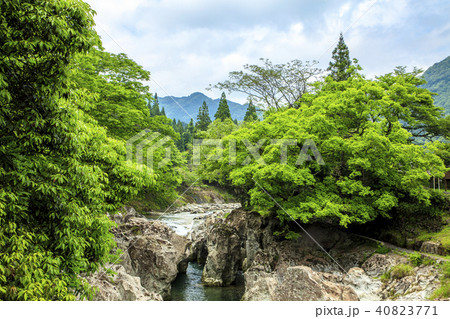 新緑の魔林峡 40823771
