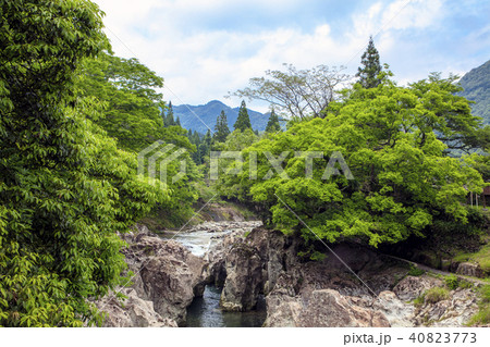 新緑の魔林峡 40823773