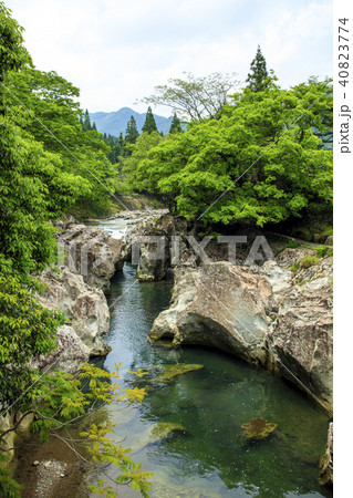 新緑の魔林峡 新緑の魔林峡 40823774