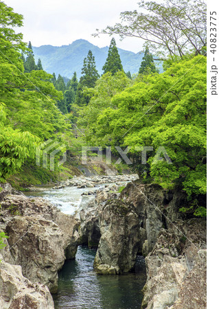 新緑の魔林峡 40823775