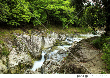 新緑の魔林峡 40823782