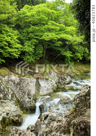 新緑の魔林峡 40823783