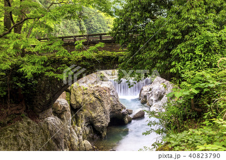 新緑の魔林峡 40823790