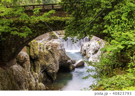 新緑の魔林峡 40823793