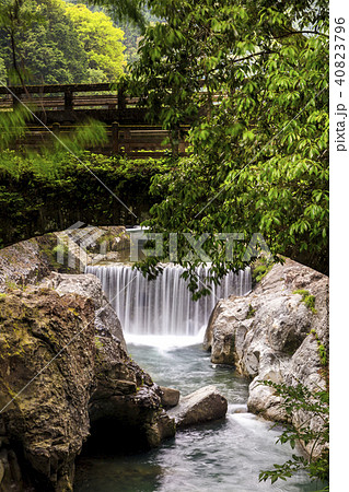 新緑の魔林峡 新緑の魔林峡 40823796