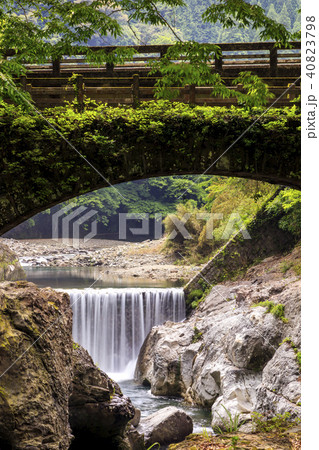 新緑の魔林峡 40823798