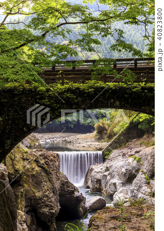 新緑の魔林峡 40823800