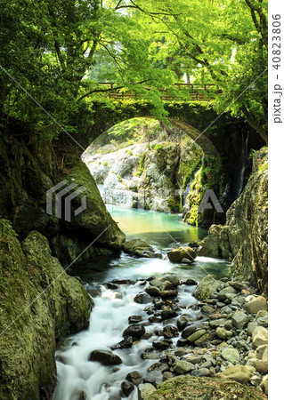 新緑の魔林峡 40823806