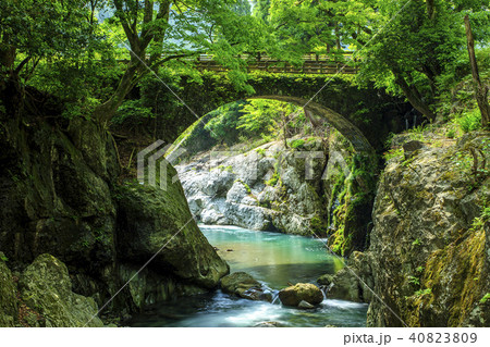 新緑の魔林峡 40823809